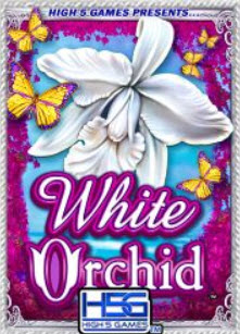 white orchid logo